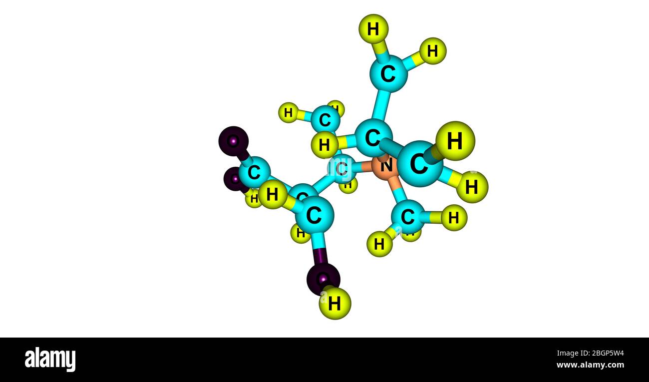 L'ecgonine - dérivée tropane - est un alcaloïde tropané trouvé naturellement dans les feuilles de coca. Il a une relation structurelle étroite avec la cocaïne. illustration tridimensionnelle Banque D'Images