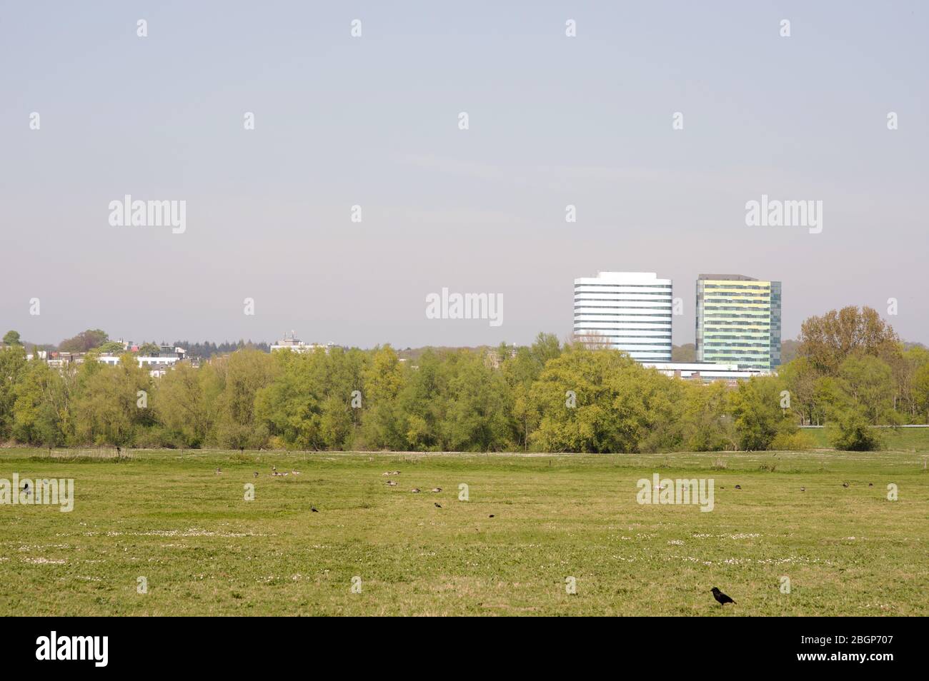 Les deux immeubles de bureaux WTC à Arnhem, aux Pays-Bas Banque D'Images