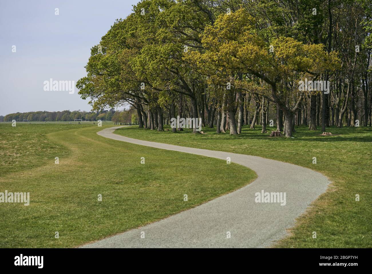Chemin de vélo dans Phoenix Park, Dublin, Irlande. Banque D'Images