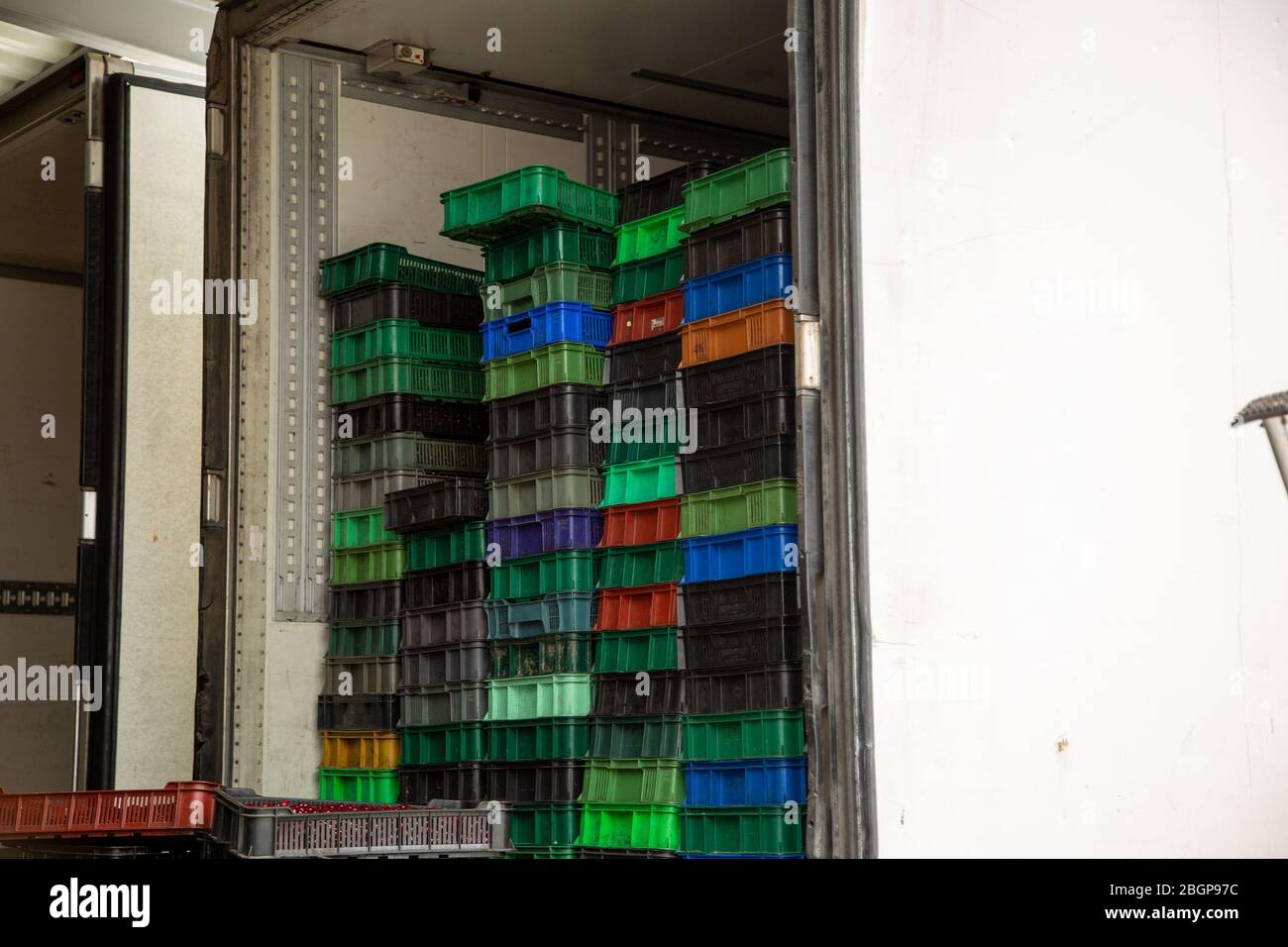 Chargement du chariot. Des boîtes en plastique avec baies mûres sont chargées dans le réfrigérateur. Banque D'Images