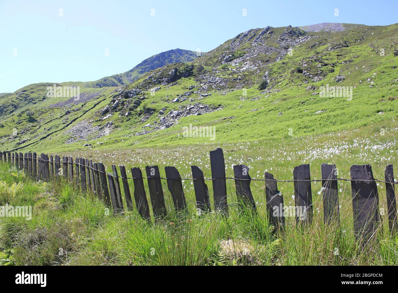 Escrime naturel le long de la vallée du Nant Ffrandon, Snowdonia, Pays de Galles Banque D'Images