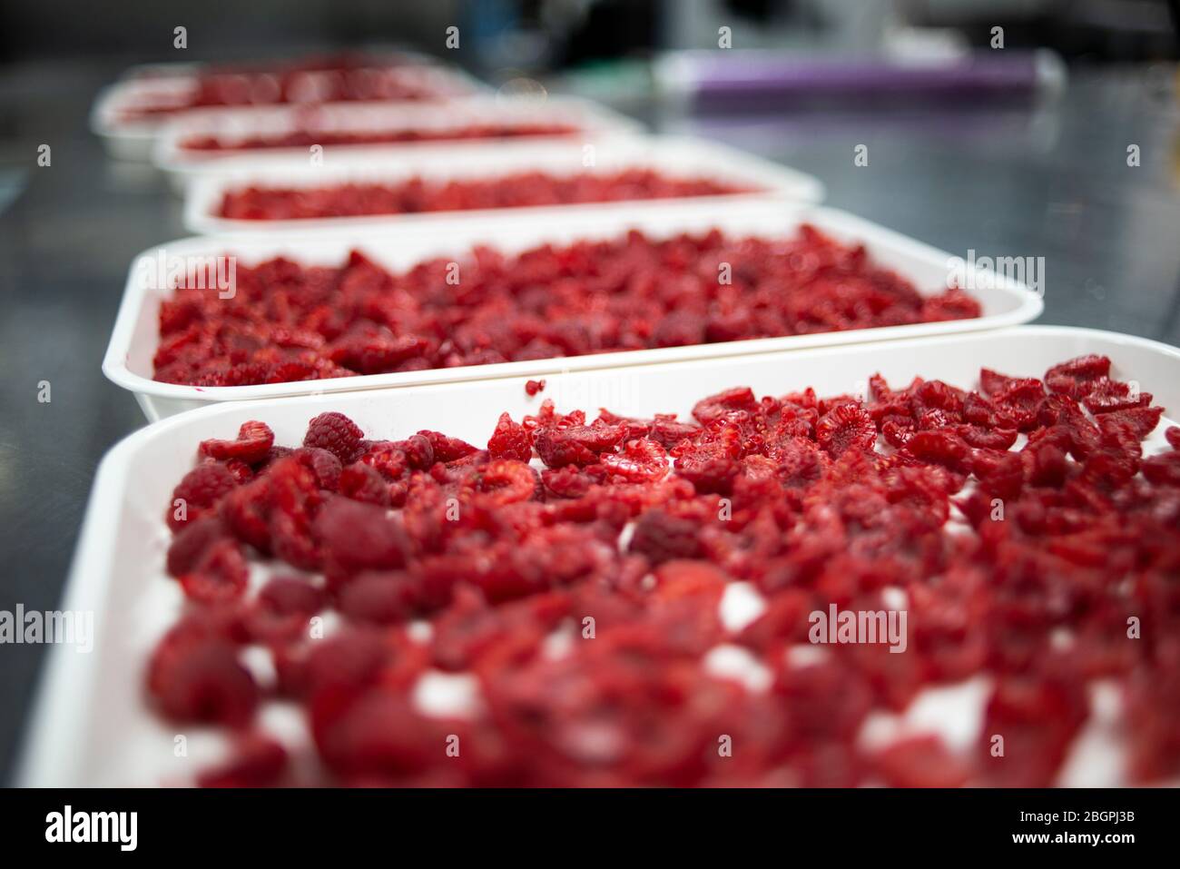 Fersh, framboises rouges sur des plateaux blancs Banque D'Images