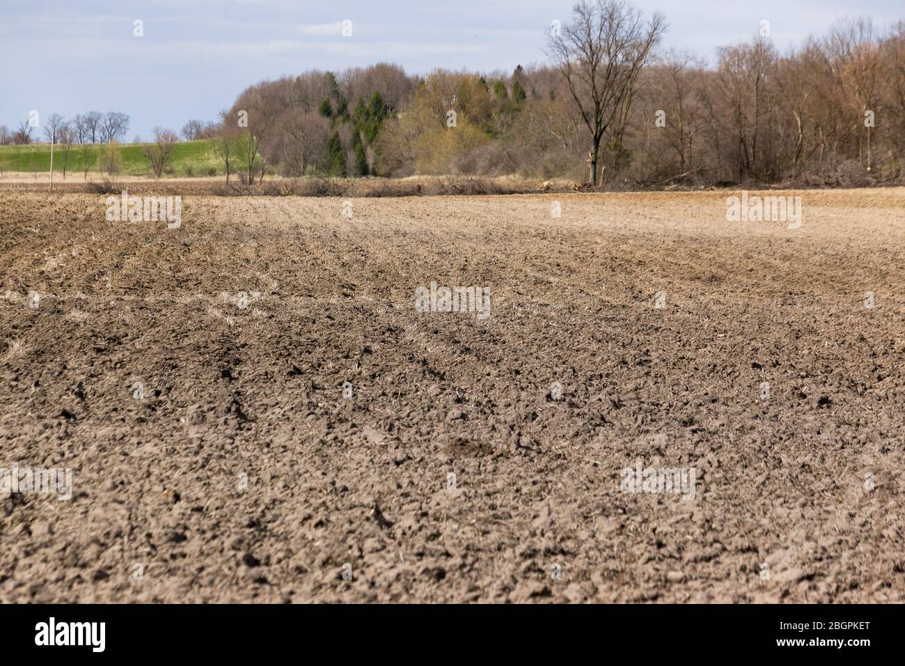 Un champ plat, labouré ou labouré avec des bois le long de l'horizon, un jour nuageux. Banque D'Images