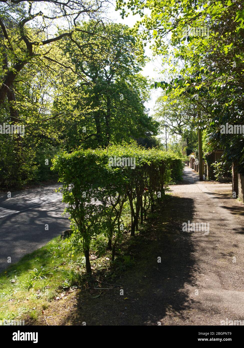 Les rues désertes du Coronavirus d'Angleterre. Dépourvu de gens qui déborde de de beauté au printemps. Enfermé sous le soleil Banque D'Images