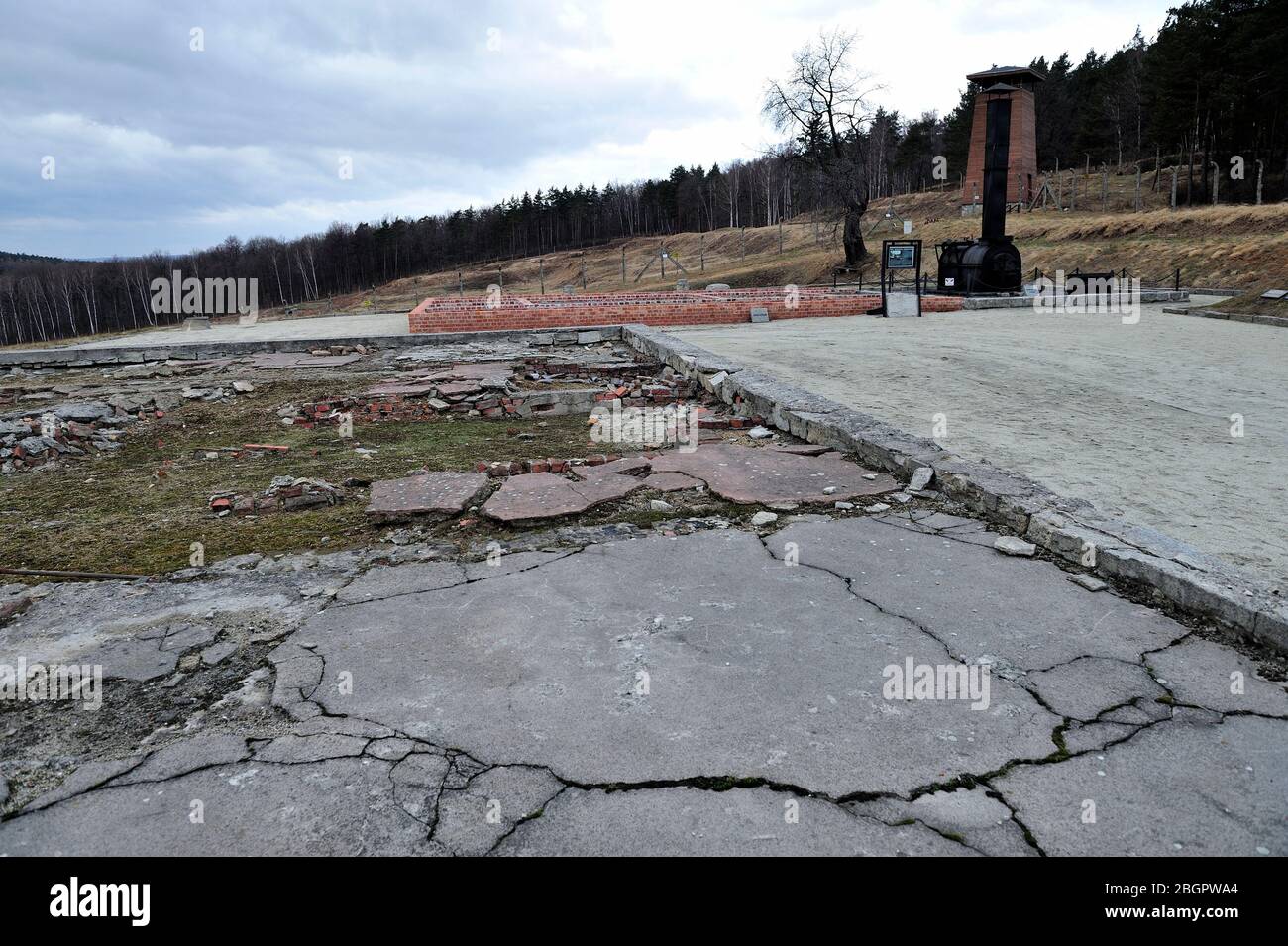 Camp de concentration nazi allemand, extermination en Pologne occupée, camp de concentration Hitler, camp d'extermination en Pologne occupée allemande, allemand, camp de concentration, mort allemande Gross-Rosen, dolnoslaskie, pologne, camp de concentration nazi, Gross-Rosen près de Strzegom, rogoznica, dolnoslaskie, pologne, europe, dolnoslaskie, pologne, europe, concentration nazie allemande, camp, historique, deux, guerre, photo de kazimierz jurewicz, production de gaz 'Tabun' par l'entreprise IG Farben dans le camp KL Gross Rosen, photo Kazimierz Jurewicz, Banque D'Images