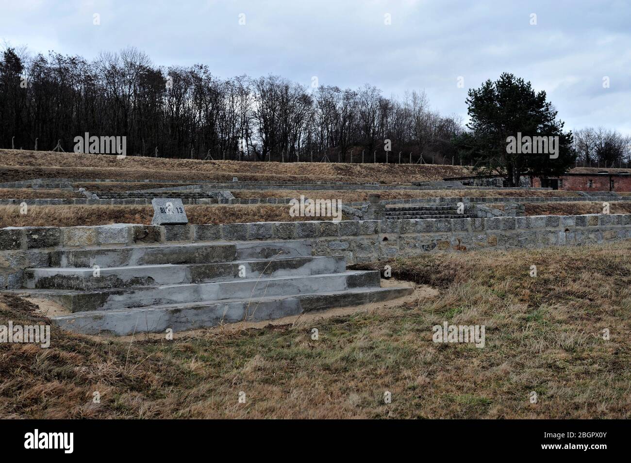 Camp de concentration nazi allemand, extermination en Pologne occupée, camp de concentration Hitler, camp d'extermination en Pologne occupée allemande, allemand, camp de concentration, mort allemande Gross-Rosen, dolnoslaskie, pologne, camp de concentration nazi, Gross-Rosen près de Strzegom, rogoznica, dolnoslaskie, pologne, europe, dolnoslaskie, pologne, europe, concentration nazie allemande, camp, historique, deux, guerre, photo Kazimierz Jurewicz, Banque D'Images