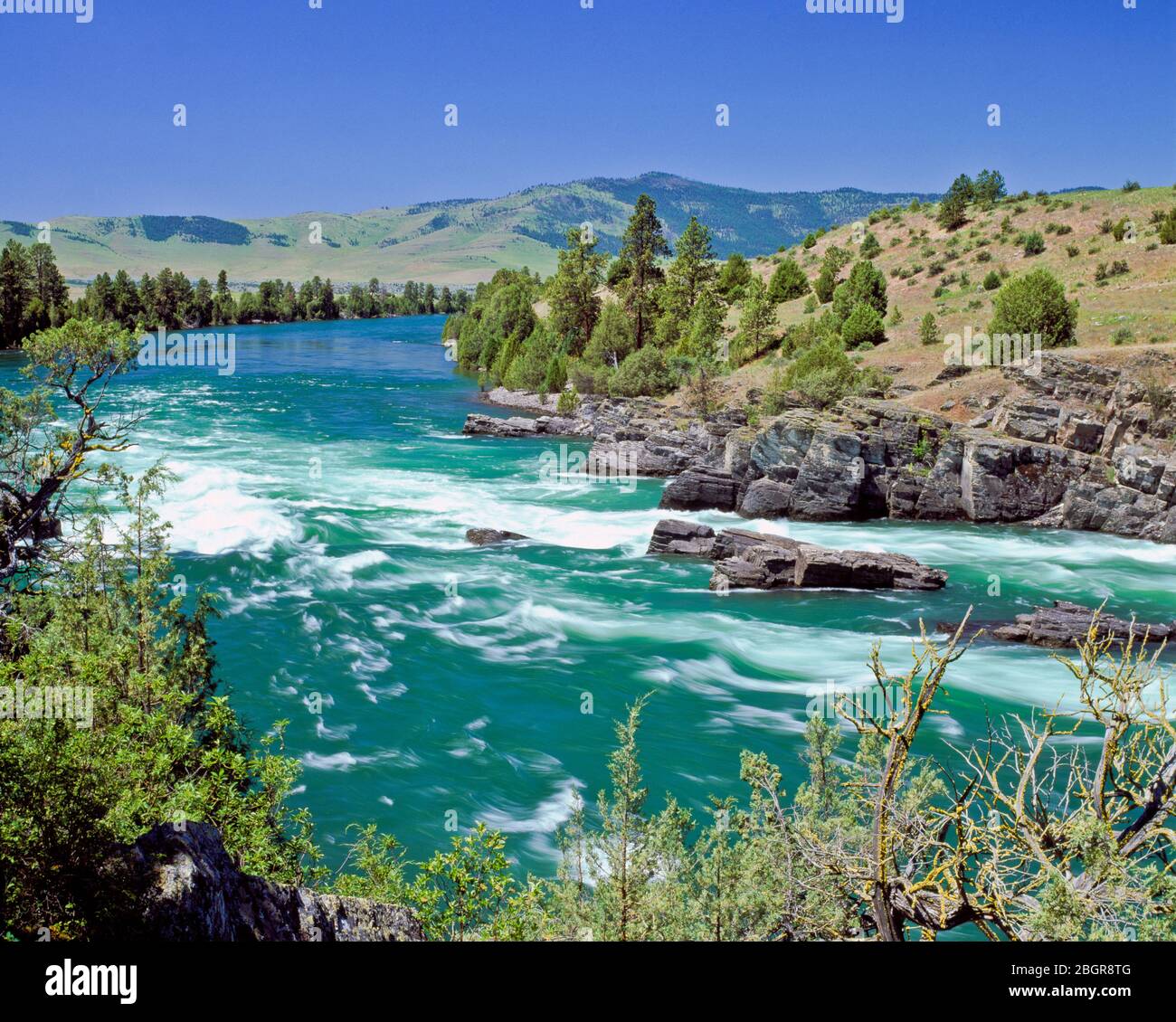 Buffalo rapids le long de la rivière Flathead ci-dessous kerr, près de polson, Montana Banque D'Images