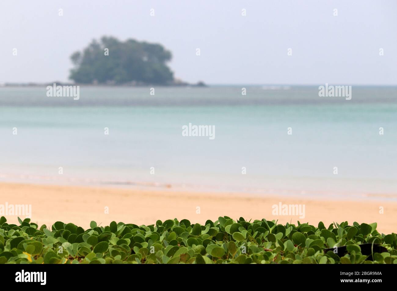 Plage tropicale vide avec plantes vertes, vue sur la mer bleue et l'île, point de mire sélectif. Concept de loisirs et de détente sur une nature paradisiaque Banque D'Images