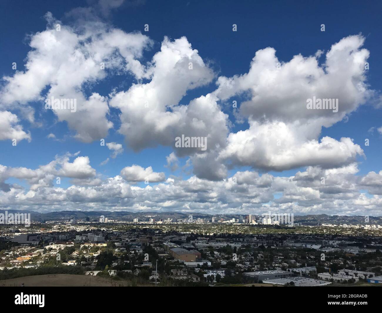 Vue sur le bassin de Culver City, Century City et Westwood depuis Baldwin Hills Scenic, surplombant le parc d'une journée claire. Banque D'Images