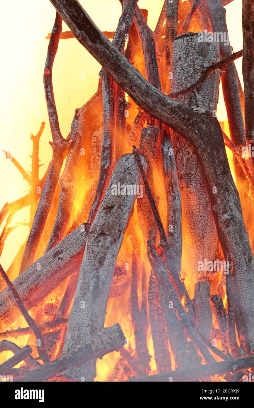 gros plan sur les empeses de feu de camp Banque D'Images