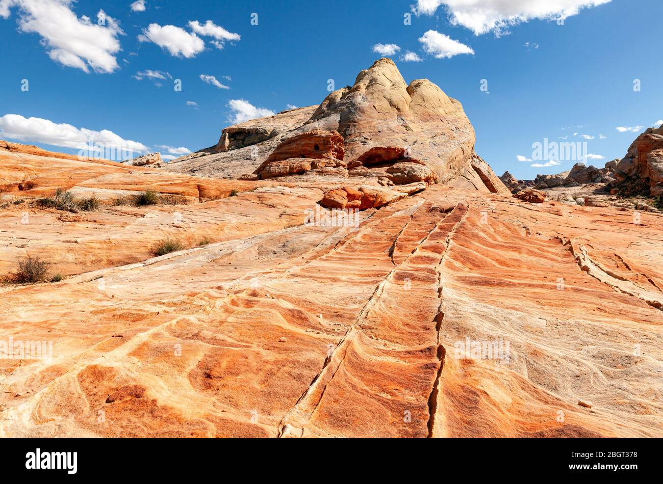 NV00214-00...Nevada - couches de roches colorées dans le parc national de Valley Fire. Banque D'Images