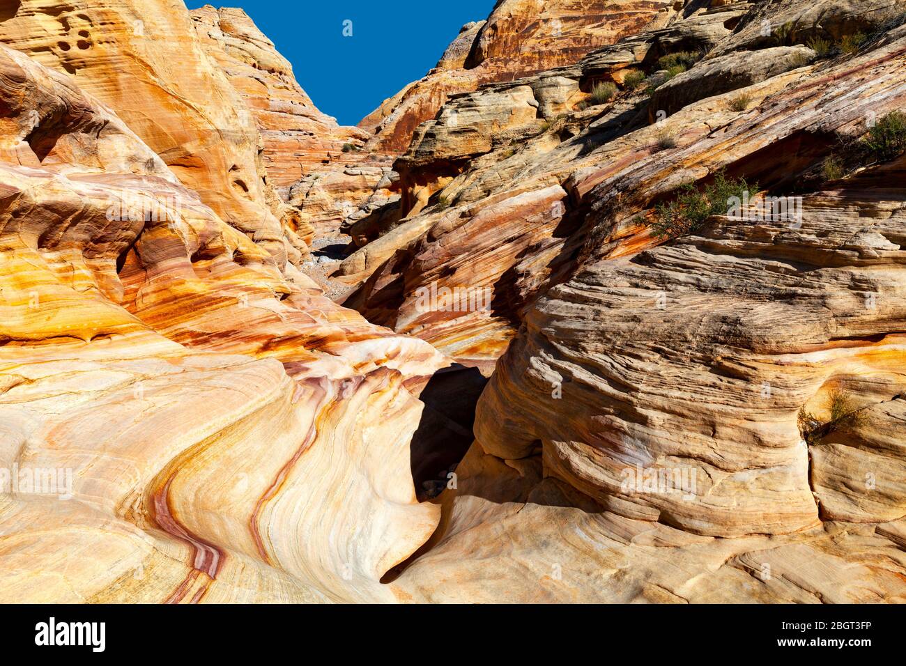 NV00216-00...Nevada - couches de roches colorées dans le parc national de Valley Fire. Banque D'Images