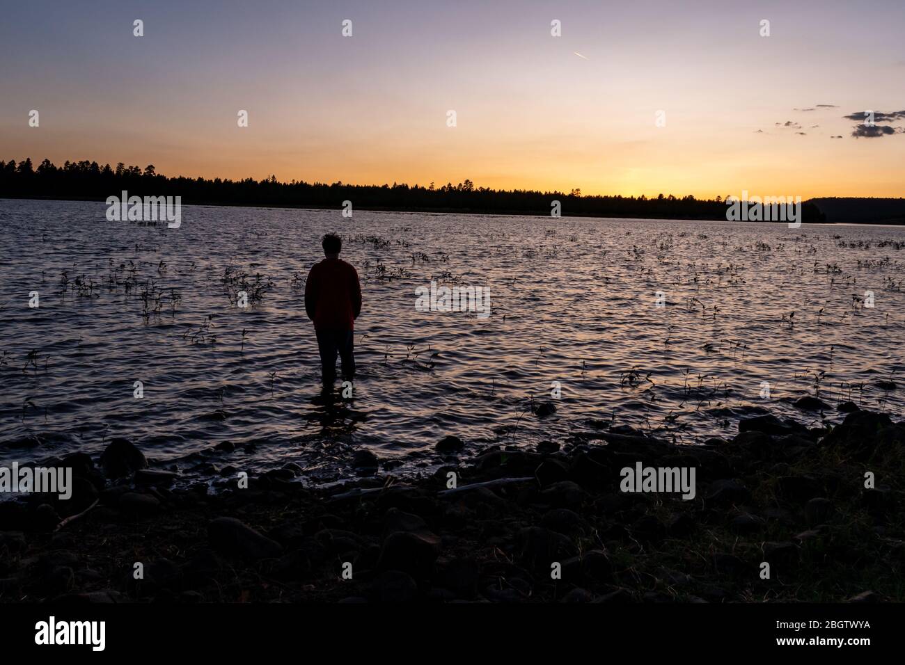 Silhouette dans l'eau, en regardant le coucher du soleil Banque D'Images