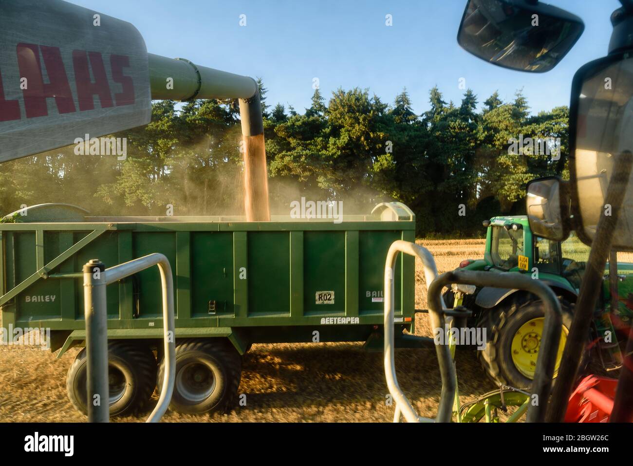 Moissonneuse-batteuse XI. Vue depuis la cabine, chargement de la remorque du tracteur - Salhouse, août 2016 Banque D'Images