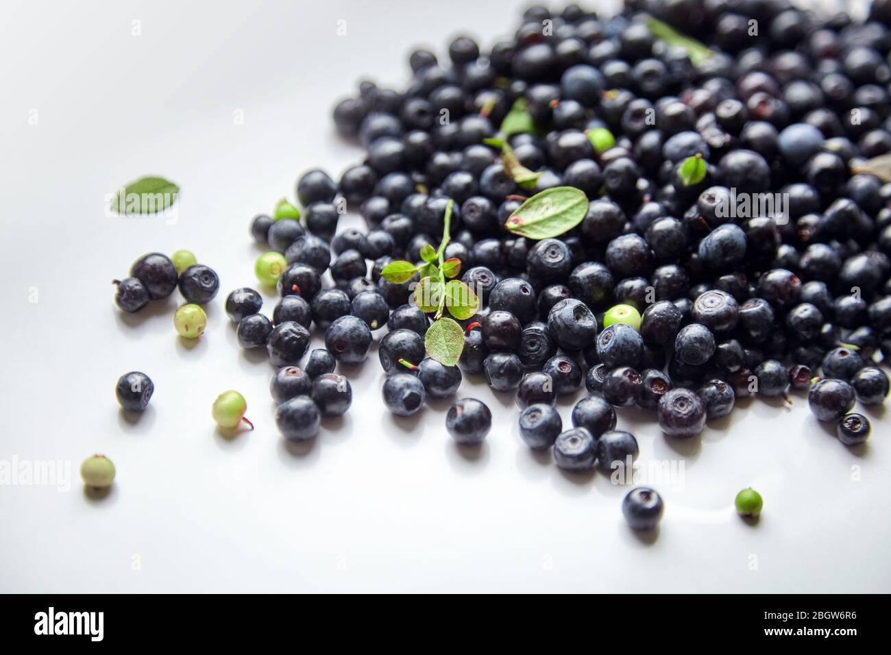 Baies de fruits à blanc avec feuilles vertes, de nombreuses baies fraîches et bleues (bleuets européens) Banque D'Images