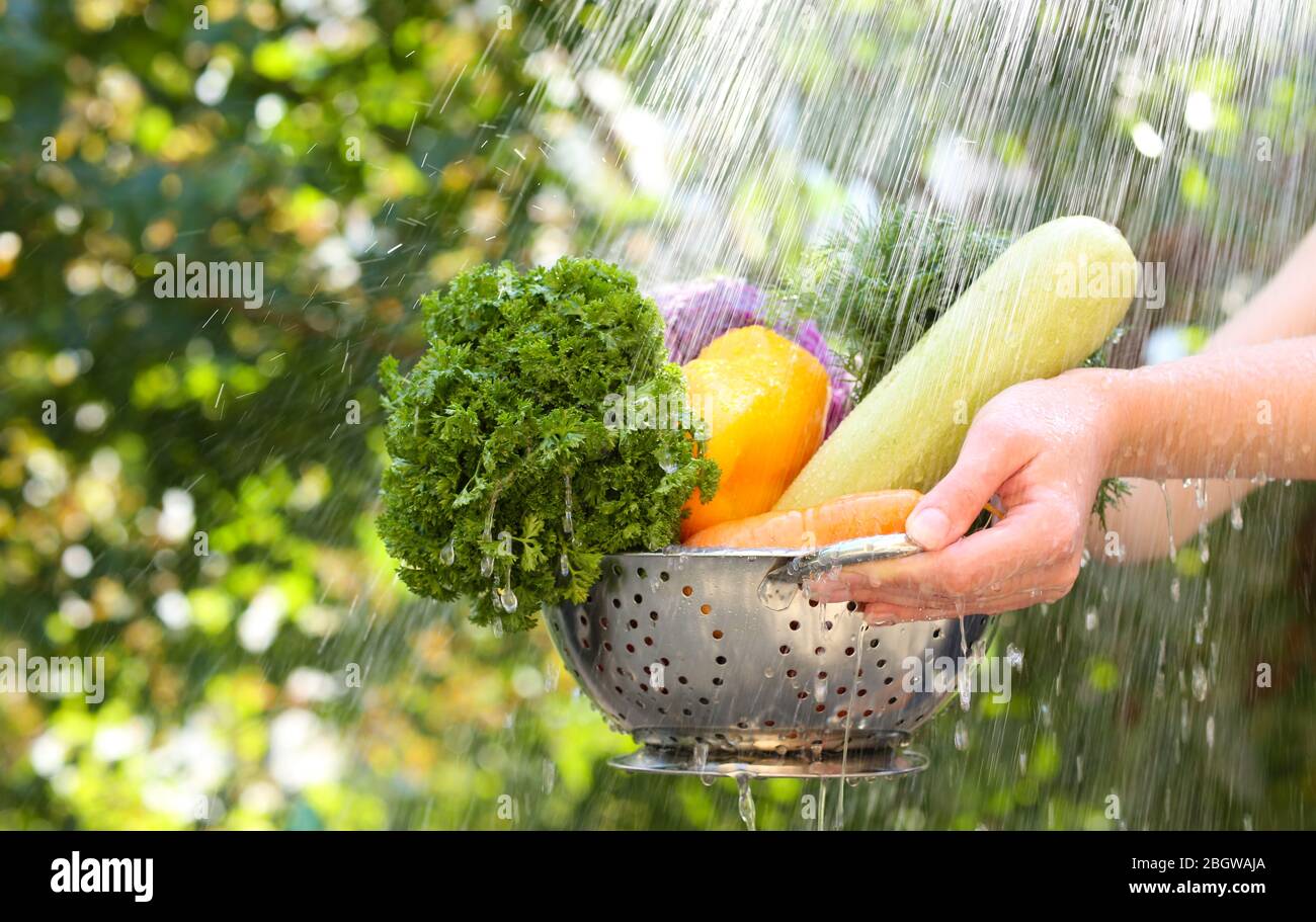 Laver les légumes, à l'extérieur Banque D'Images