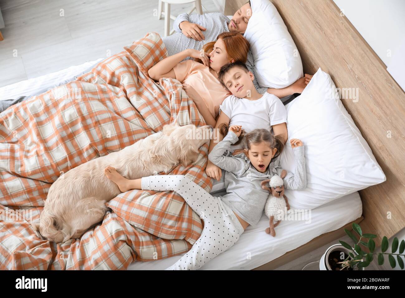 Bonne famille avec chien dormant dans le lit à la maison Banque D'Images
