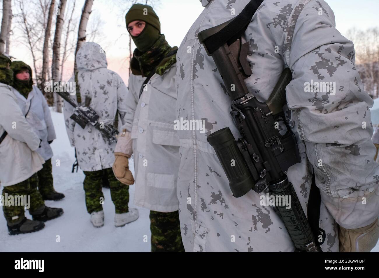 SAGUENAY, CANADA - JANVIER 13 : un groupe de soldats dans la neige lors d'un exercice militaire franco-canadien, Québec, Saguenay, Canada, le 13 janvier 201 Banque D'Images