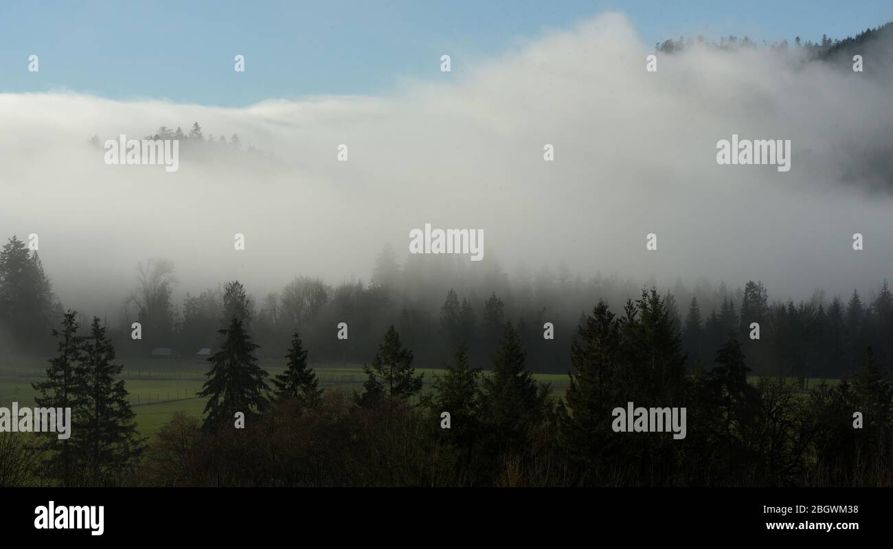 Image horizontale d'une bande de nuages couvrant des collines boisées avec brume parmi les arbres au-dessus des champs de ferme verdoyants près de Ducan dans la vallée Cowichan sur Van Banque D'Images
