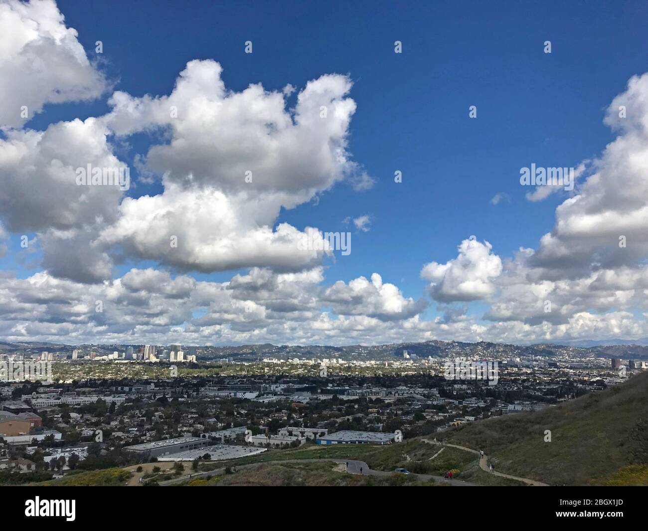 Vue sur le bassin de Culver City, Century City et Westwood depuis Baldwin Hills Scenic, surplombant le parc d'une journée claire. Banque D'Images