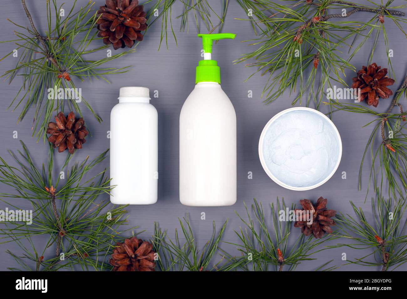 cosmétiques naturels sur fond gris avec branches et cônes de sapin, espace de copie. soins du corps et du visage de beauté. Banque D'Images