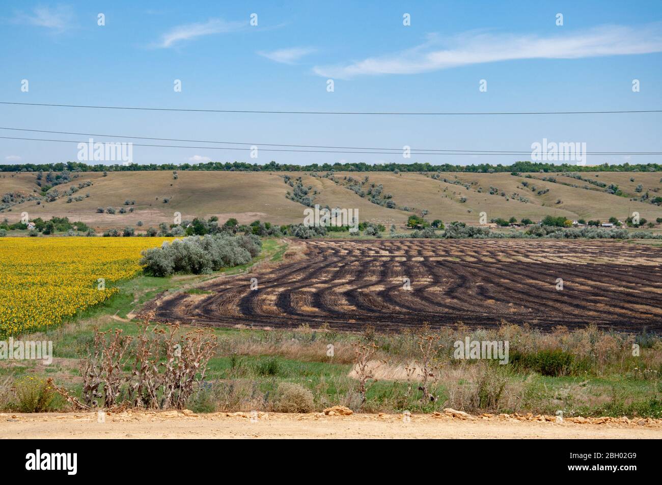 Champs de terres agricoles avec rangées et bandes de herses sur sol brun et buissons secs démocés au premier plan. Paysage avec textures de countrysid Banque D'Images