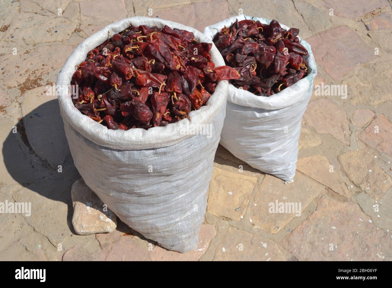 Harissa - piments en Tunisie, Afrique Banque D'Images