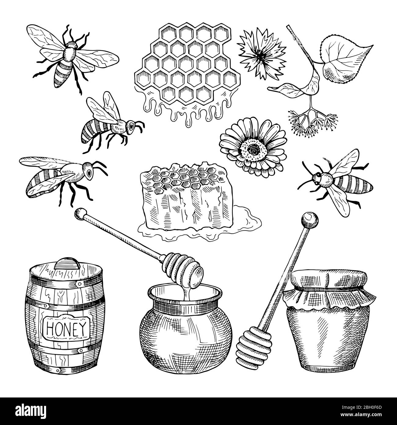 Images vectorielles dessinées à la main de produits à base de miel. Illustration de la nourriture naturelle saine au miel Illustration de Vecteur