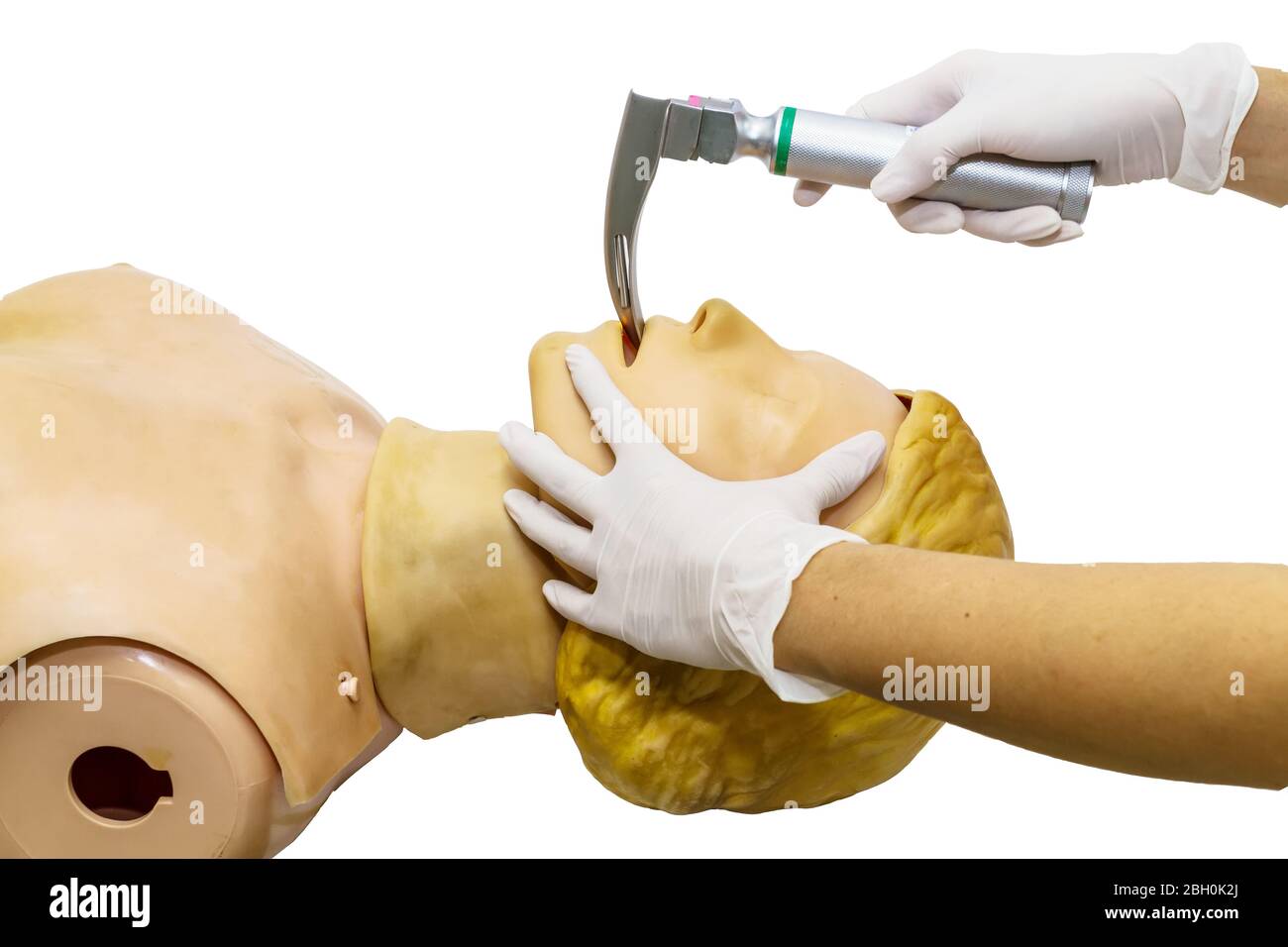 Gants médicaux blancs et mains de médecin démonstration réanimation RCP technique par lame de laryngoscope pour insérer le tube endotrachéal sur le modèle Banque D'Images