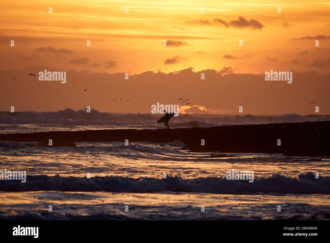 Surfeur masculin portant un surf en silhouette contre le soleil couchant et le ciel nuageux, marchant sur des rochers à une plage de Santa Cruz, Californie. Banque D'Images