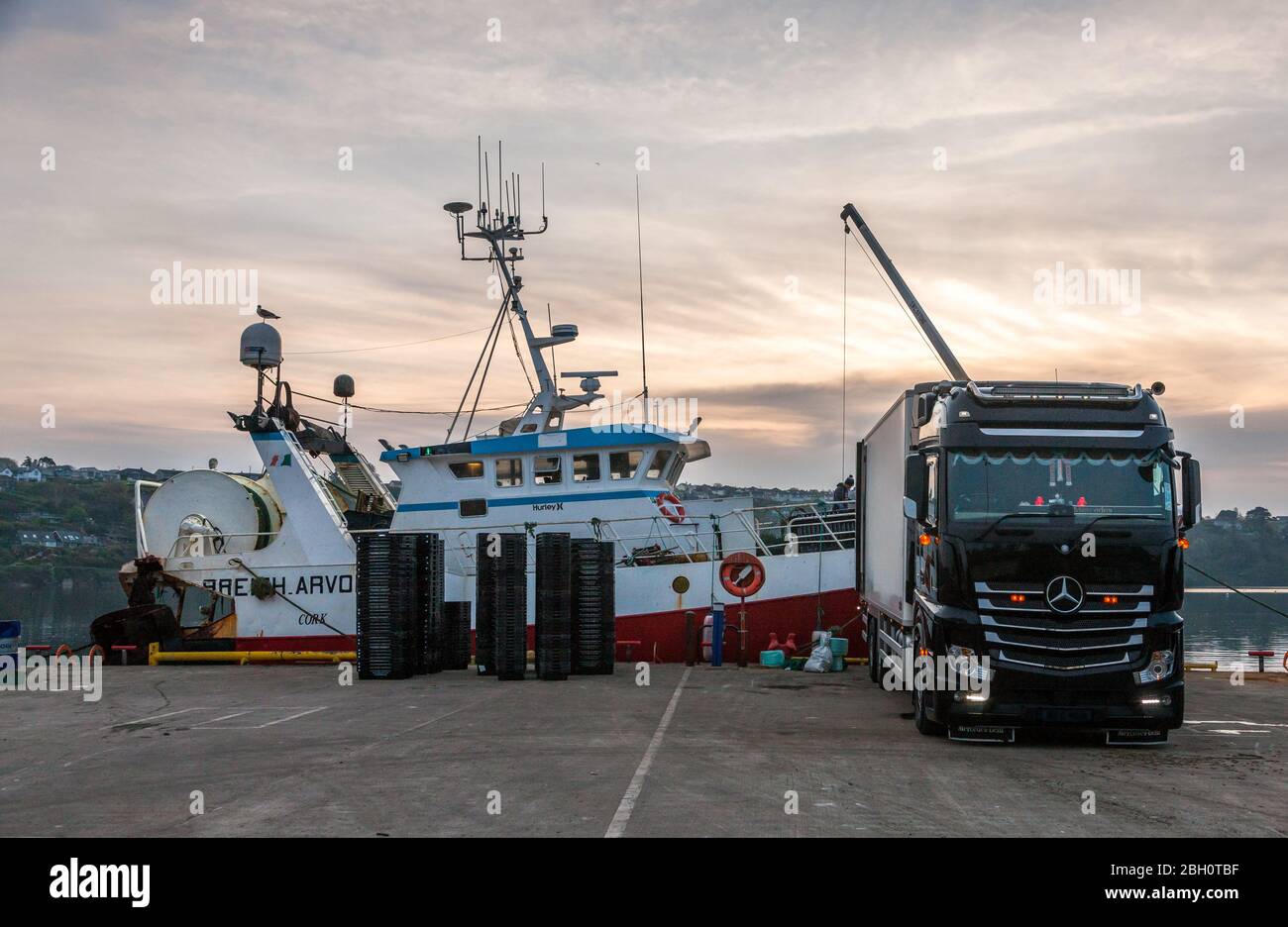 Kinsale, Cork, Irlande. 23 avril 2020. L'équipage du chalutier Breizh Arvor II déleste leurs prises de Hake et Whiting sur un camion sur la jetée de Kinsale, Co. Cork où il sera exporté en Espagne. Depuis l'épidémie de la pandémie de Covid-19, l'industrie de la pêche a connu une baisse de la demande de 60 % en raison du verrouillage qui a entraîné la fermeture de restaurants et d'hôtels. - crédit; David Creedon / Alay Live News Banque D'Images
