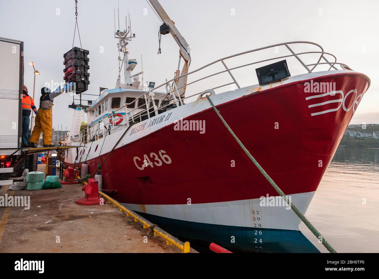 Kinsale, Cork, Irlande. 23 avril 2020. L'équipage du chalutier Breizh Arvor II déleste leurs prises de Hake et Whiting sur un camion sur la jetée de Kinsale, Co. Cork où il sera exporté en Espagne. Depuis l'épidémie de la pandémie de Covid-19, l'industrie de la pêche a connu une baisse de la demande de 60 % en raison du verrouillage qui a entraîné la fermeture de restaurants et d'hôtels. - crédit; David Creedon / Alay Live News Banque D'Images