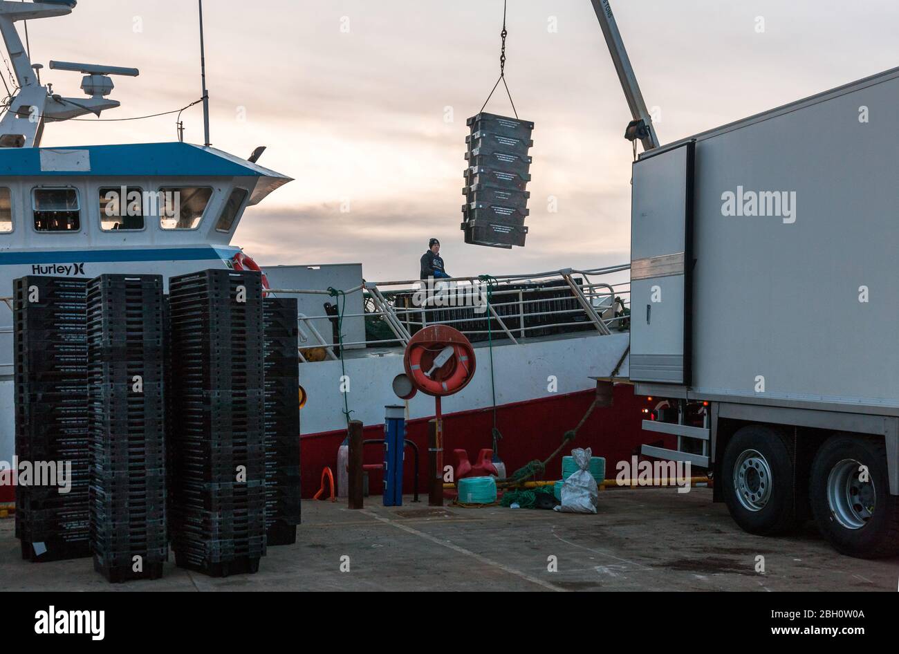 Kinsale, Cork, Irlande. 23 avril 2020. L'équipage du chalutier Breizh Arvor II déleste leurs prises de Hake et Whiting sur un camion sur la jetée de Kinsale, Co. Cork où il sera exporté en Espagne. Depuis l'épidémie de la pandémie de Covid-19, l'industrie de la pêche a connu une baisse de la demande de 60 % en raison du verrouillage qui a entraîné la fermeture de restaurants et d'hôtels. - crédit; David Creedon / Alay Live News Banque D'Images