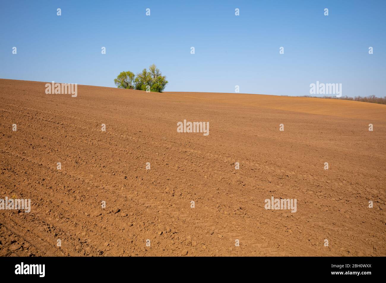 Vue sur les terres arables par beau temps. Paysage rural Banque D'Images