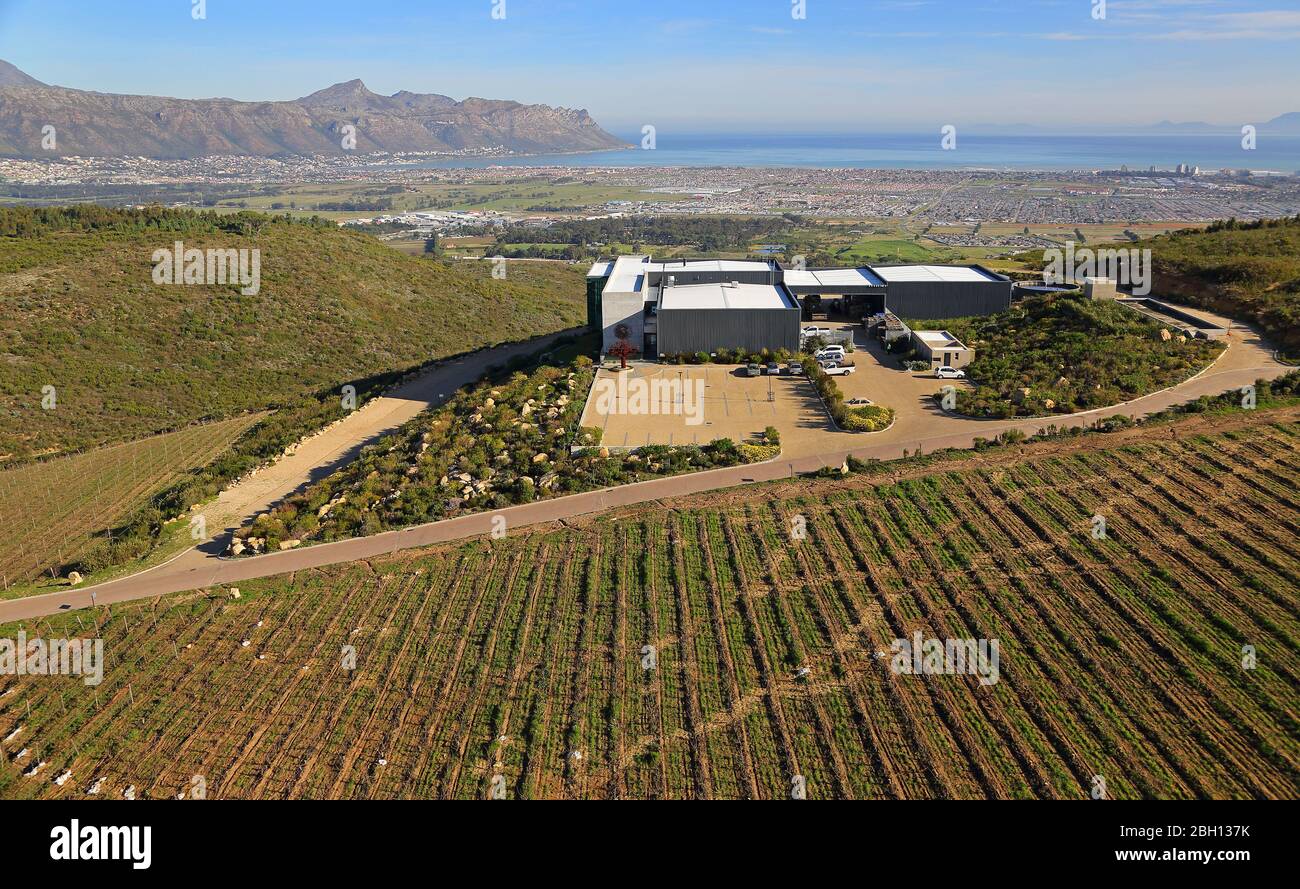 Photo aérienne de la ferme viticole de Waterkloof Banque D'Images