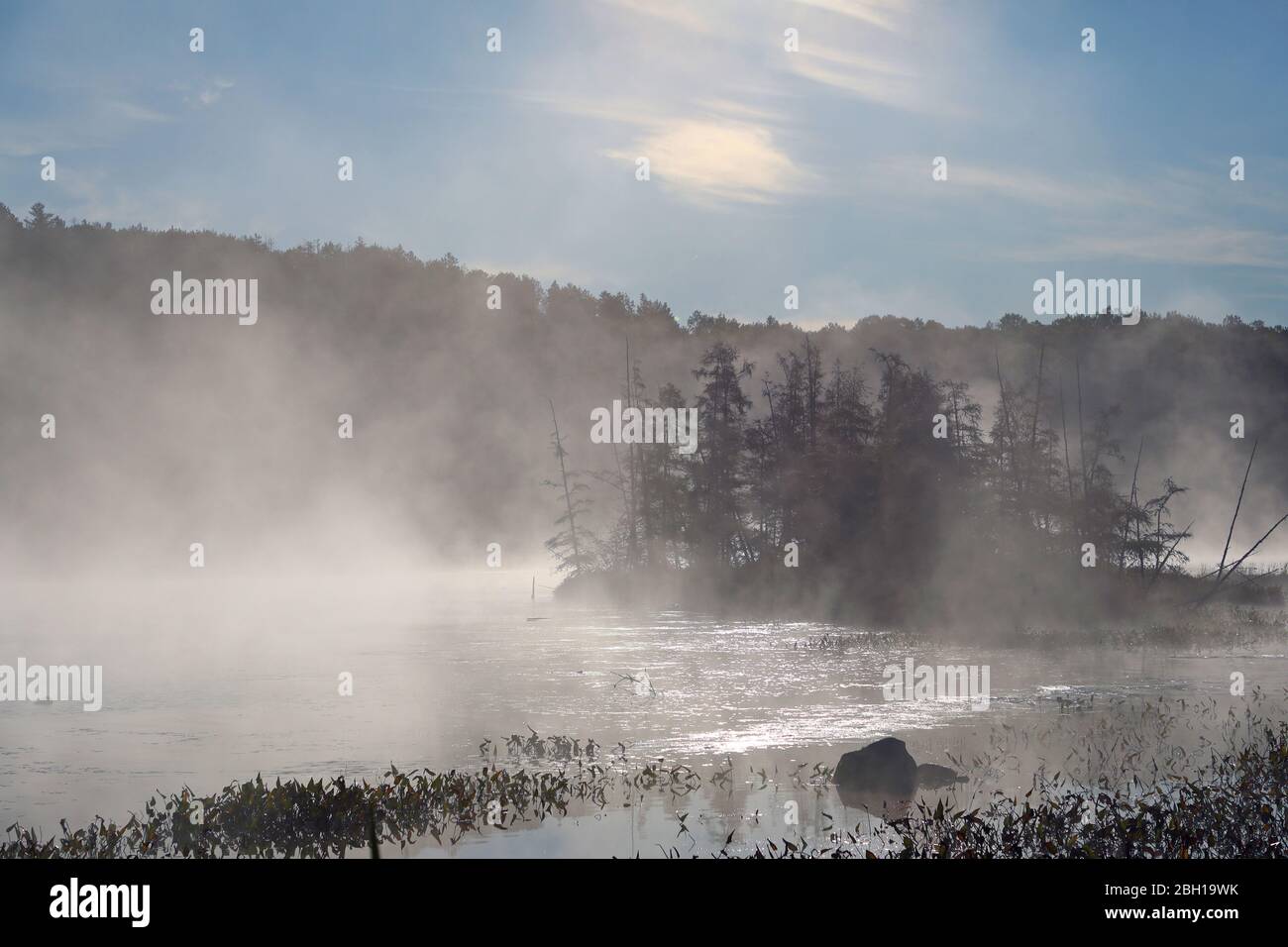 Brume matinale au lac Opeongo, Canada, Ontario, parc provincial Algonquin Banque D'Images
