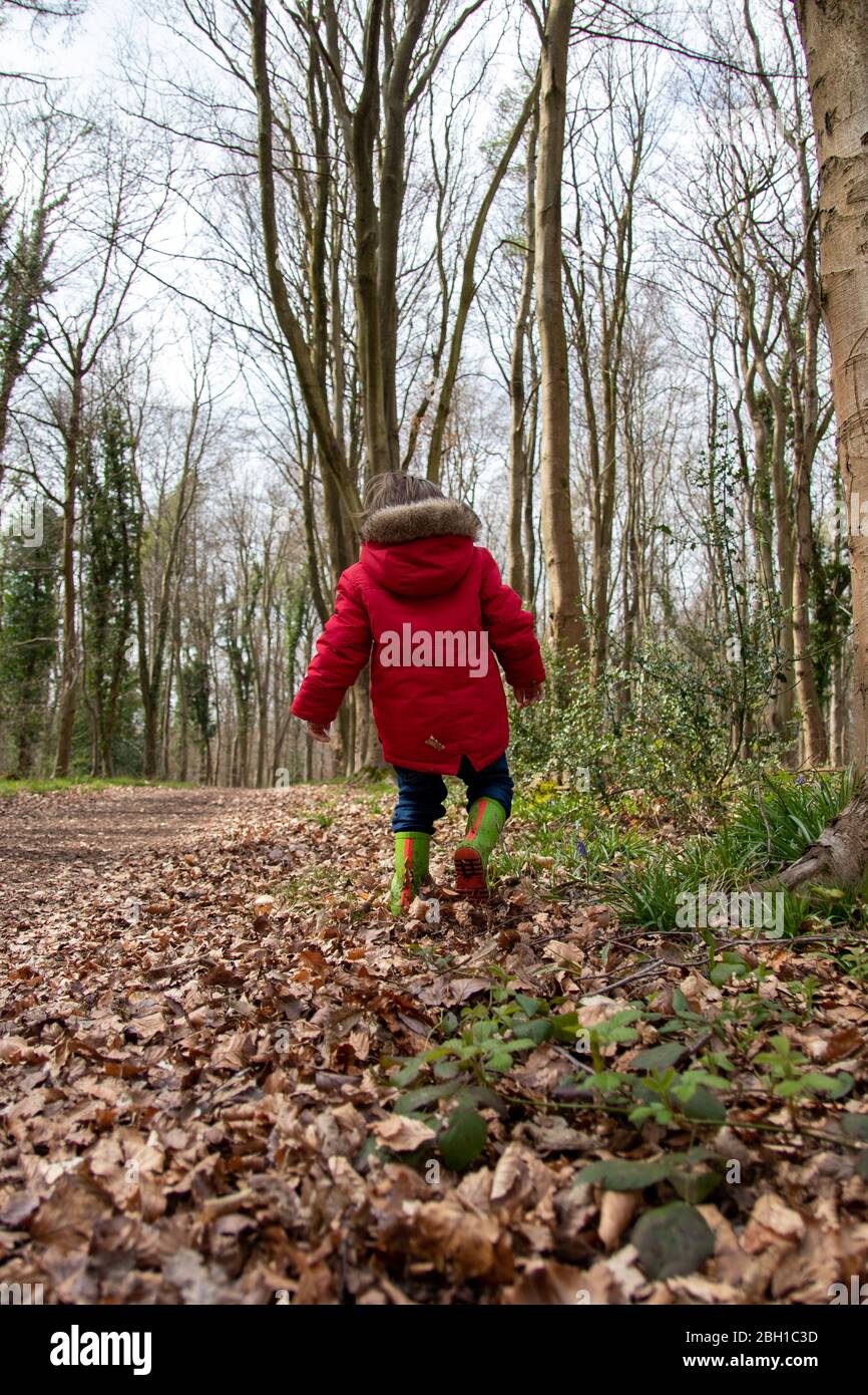 Un petit enfant dans un manteau rouge et bottes wellington ou bottes en caoutchouc marchant a travers les feuilles sur le sol forestier en automne ou en automne Photo Stock Alamy