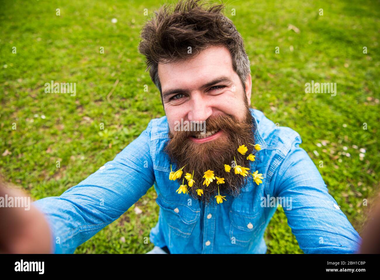 Hipster sur le visage heureux prenant la photo selfie. L'homme avec barbe aime le printemps, le fond vert de pré, démoqué. Concept de beauté naturelle. Guy avec des fleurs de celandine moindre dans la barbe prenant la photo de selfie Banque D'Images