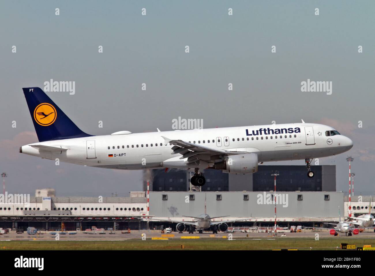 D-AIPT Lufthansa Airbus A320-211 à Malpensa (MXP / LIMC), Milan, Italie Banque D'Images