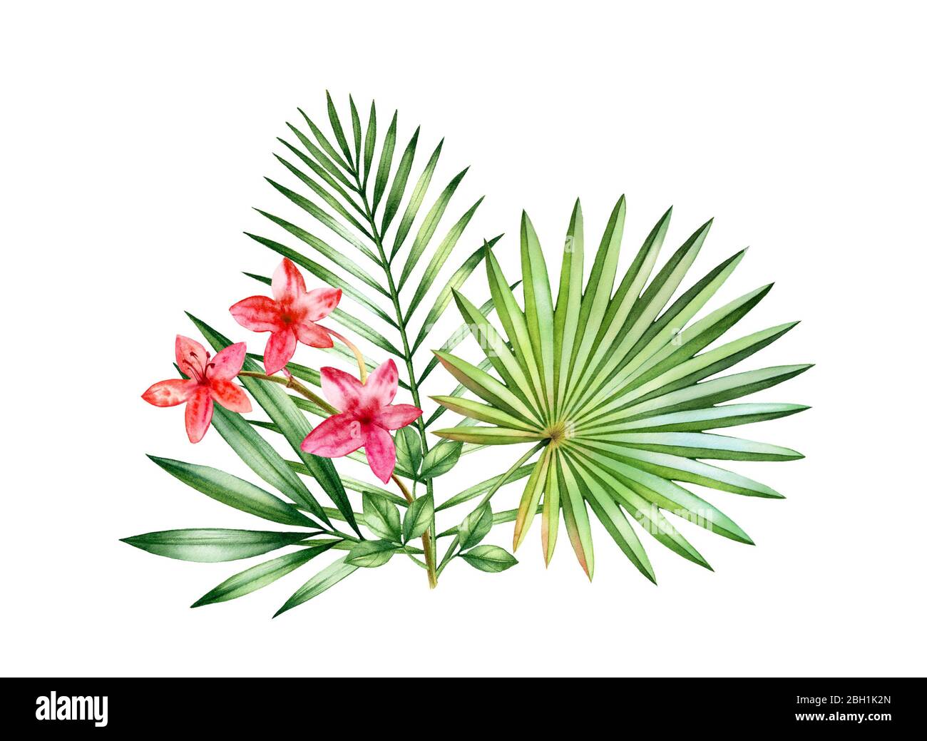 Bouquet tropical aquarelle. Arrangement floral avec petites fleurs d'orchidée et de grandes feuilles de palmier. Plantes exotiques colorées isolées sur blanc. Botanique Banque D'Images