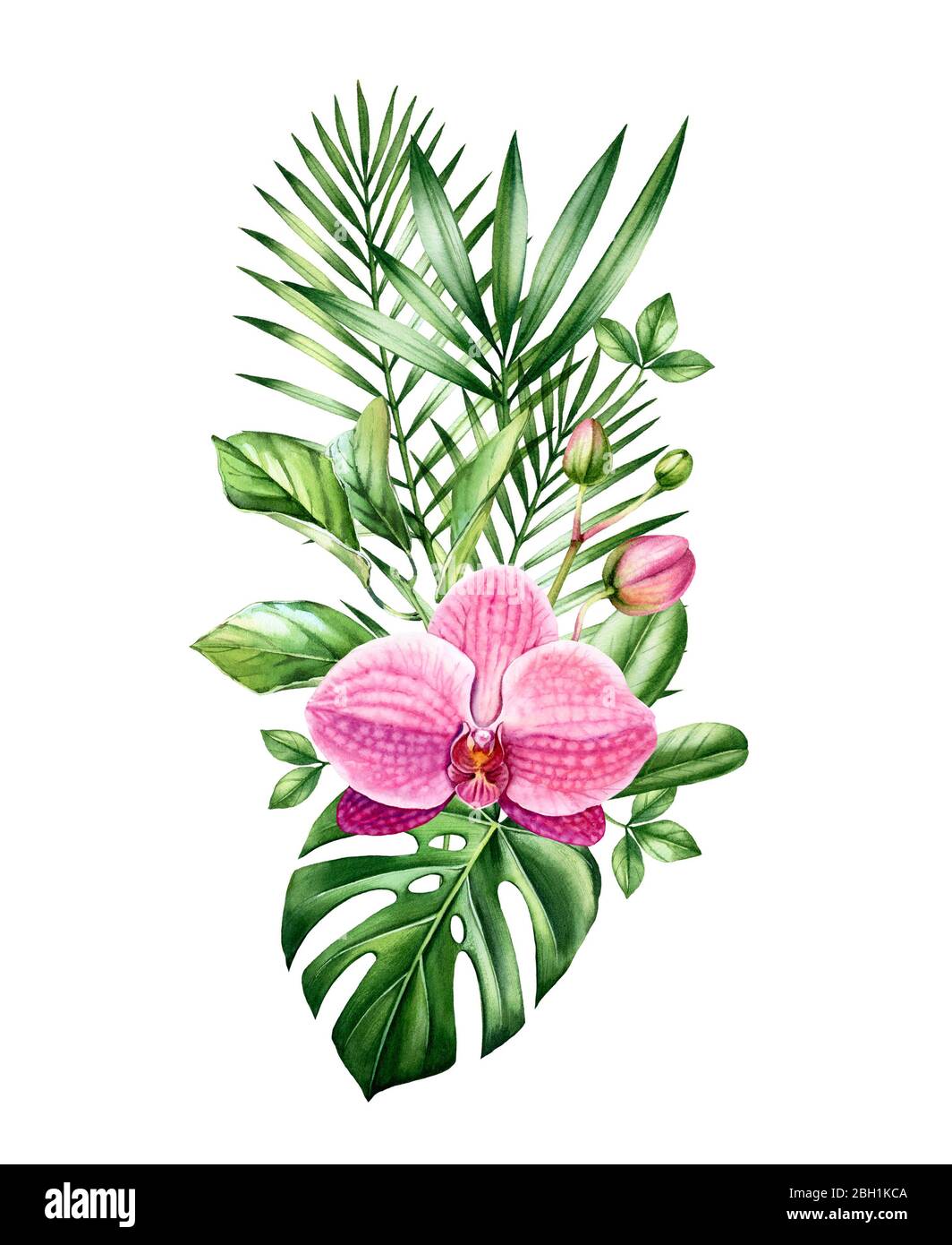Bouquet d'orchidées aquarelle. Grandes feuilles de fleurs roses et de palmiers en disposition verticale. Fond tropical peint à la main. Illustrations botaniques isolées Banque D'Images