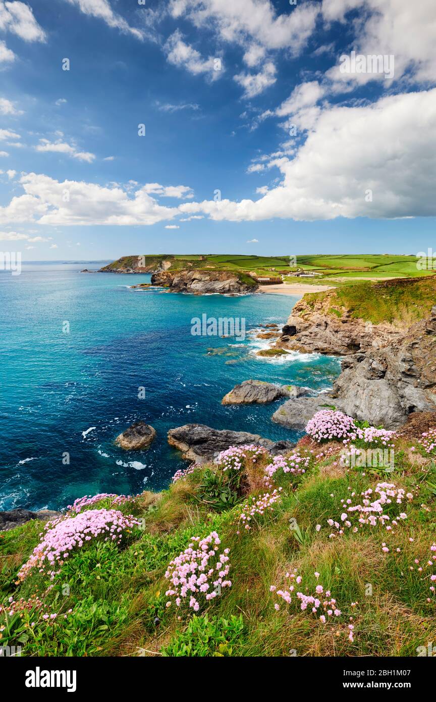 Les falaises de Cornish au printemps. Banque D'Images