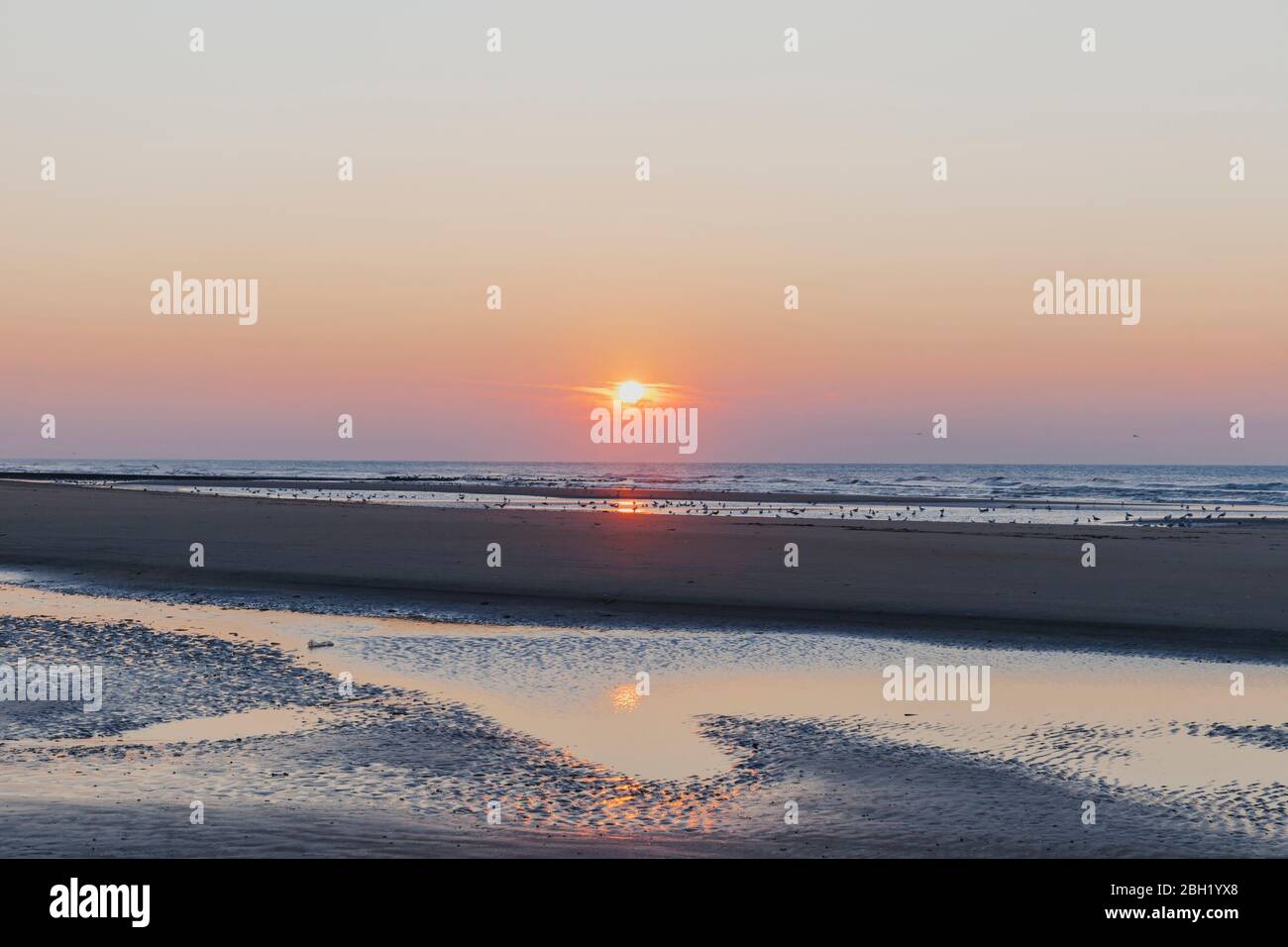 Vue lointaine des silhouettes sur la rive à la plage contre le ciel orange au coucher du soleil, côte de la mer du Nord, Flandre, Belgique Banque D'Images