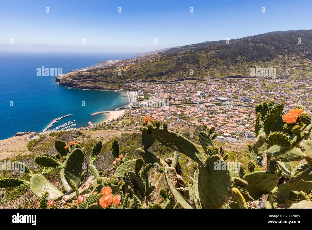 Portugal, Madère, Machico, Cacti croissant sur la colline côtière avec la ville en arrière-plan Banque D'Images
