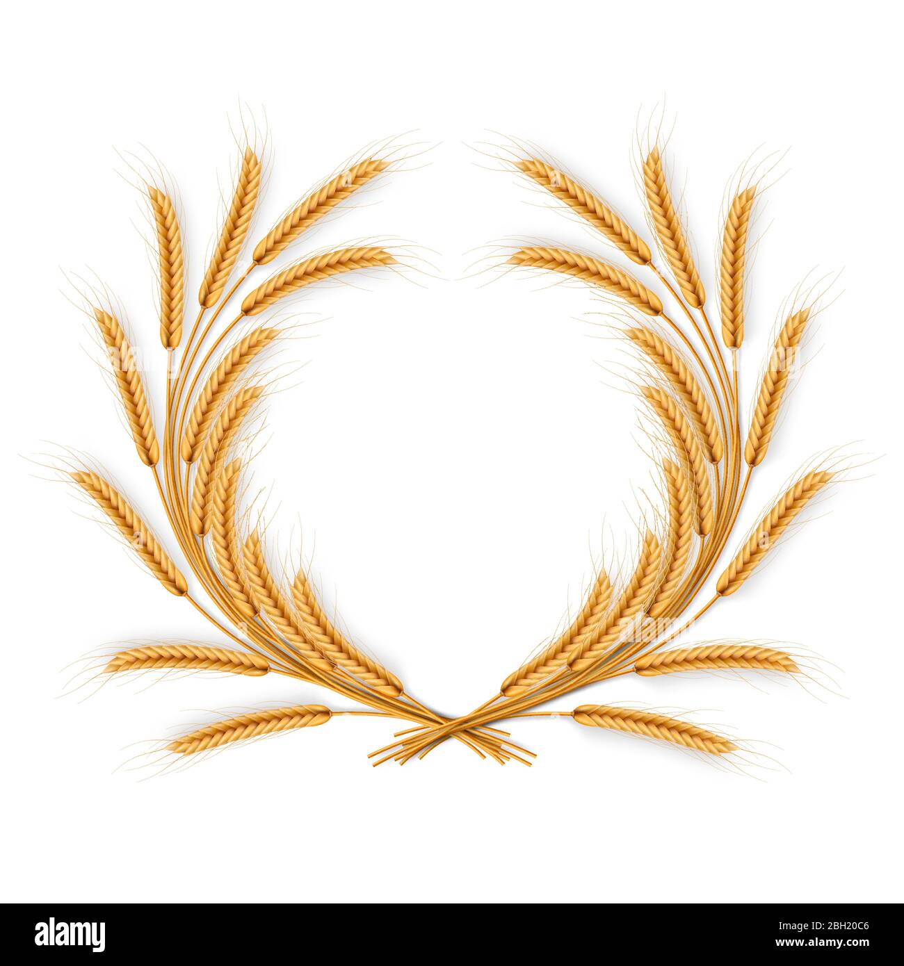 Couronne de blé de céréales, isolée sur blanc. Modèle de récolte. Objet produits agricoles. SPE 10 Illustration de Vecteur