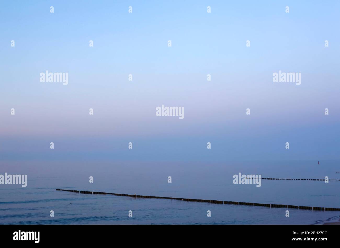Allemagne, Mecklembourg-Poméranie occidentale, Zingst, ciel clair sur les groynes sur la côte de la mer Baltique au crépuscule Banque D'Images
