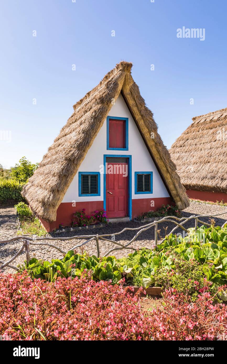 Portugal, Madère, Santana, jardin de printemps en face de la maison de ville traditionnelle en forme de triangle avec toit de chaume Banque D'Images