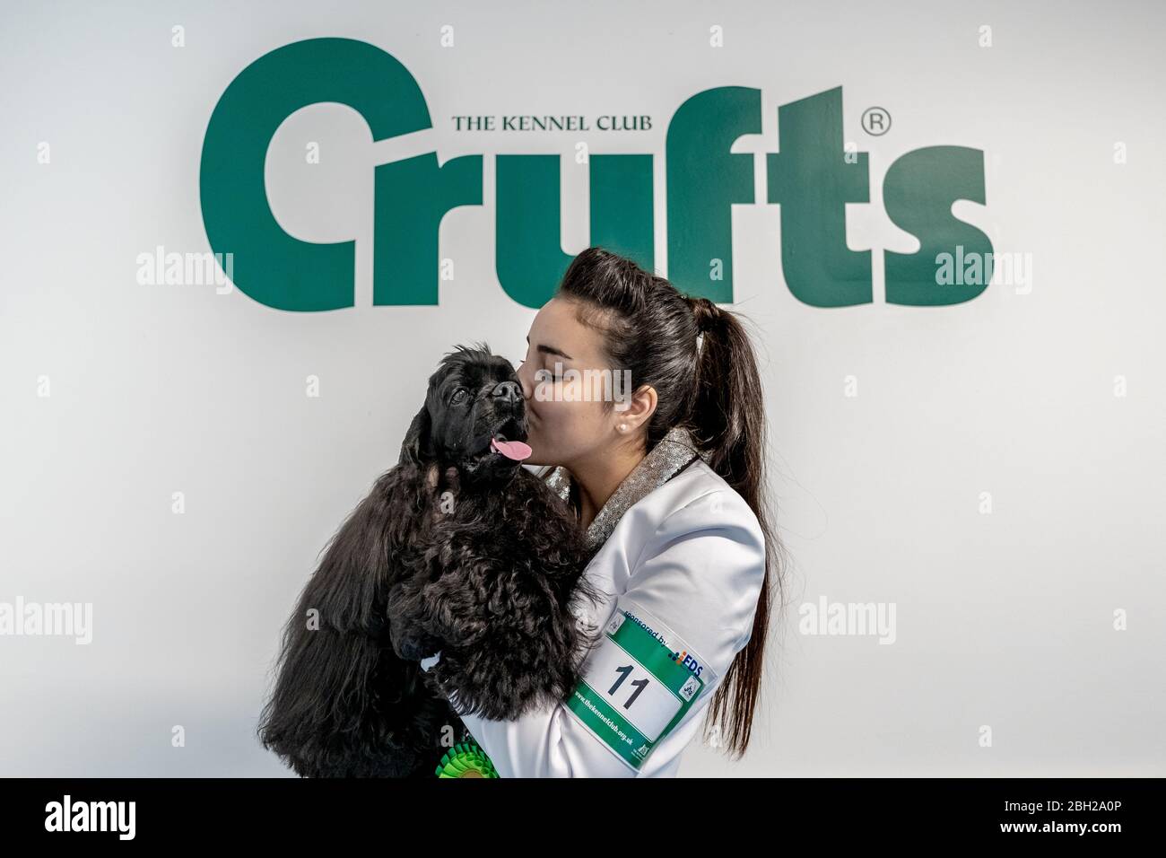 Crufts 2020 : 3e jour du spectacle de chiens Crufts au NEC à Birmingham, au Royaume-Uni. Banque D'Images