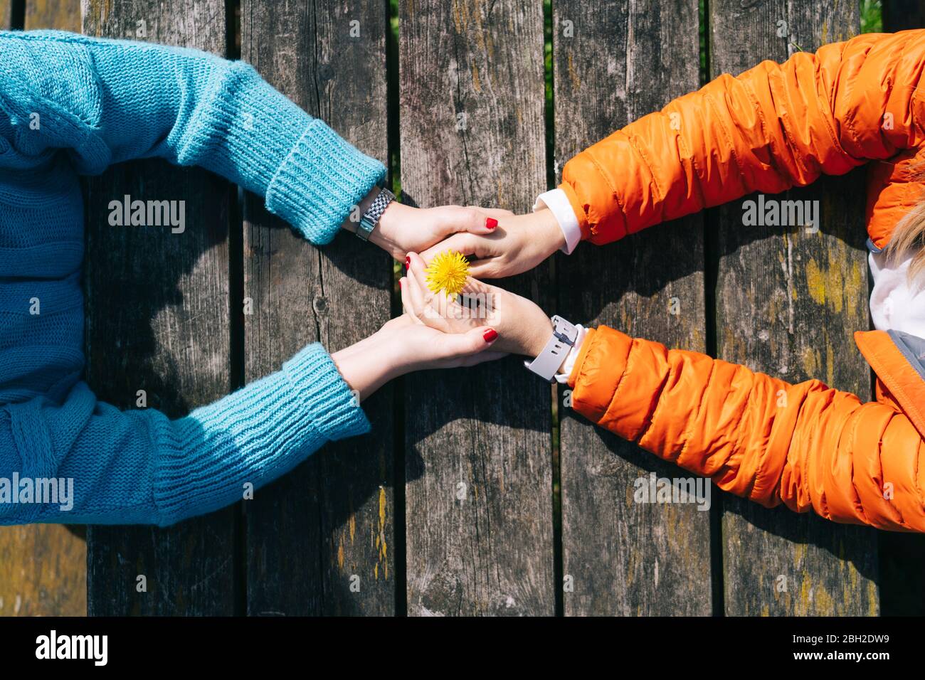 Deux amis tenant la main sur une table en bois, vue du dessus Banque D'Images