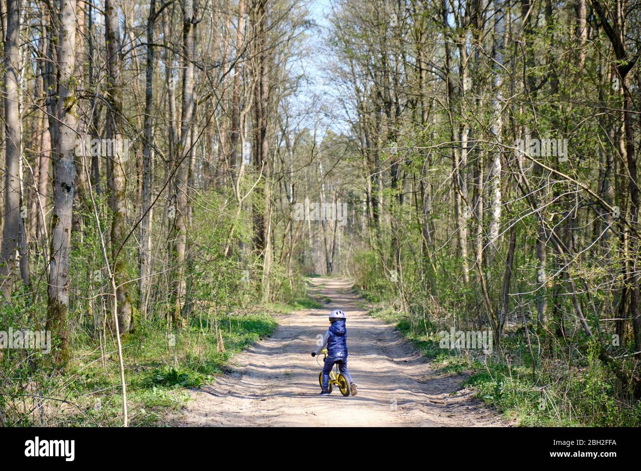 Vue arrière d'une fille caucasienne de 4 ans en vélo d'équilibre sur un sentier dans une belle forêt ensoleillée de printemps. Vu en Allemagne en avril Banque D'Images